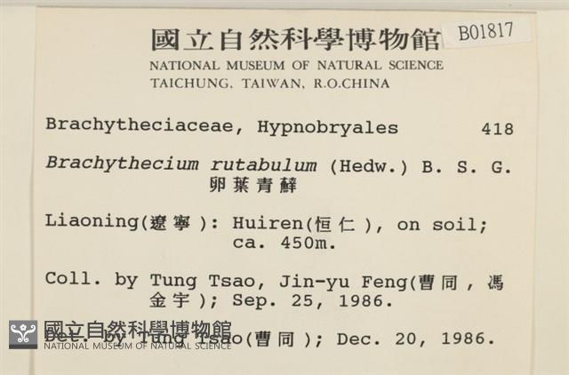 卵葉青蘚藏品圖，第2張