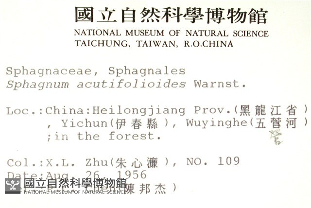 擬尖葉泥炭蘚藏品圖，第2張