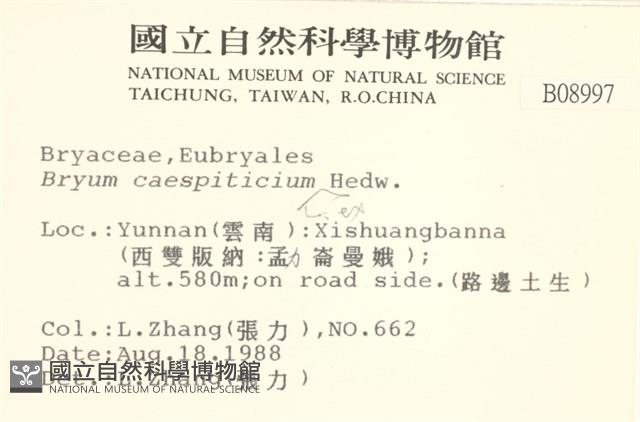 叢生真蘚藏品圖，第2張