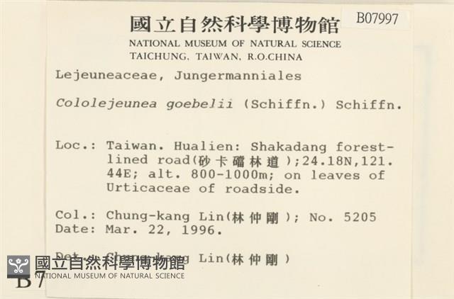 登錄號:B00007997藏品圖，第2張