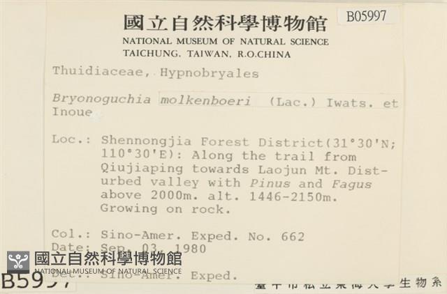 毛羽蘚藏品圖，第2張