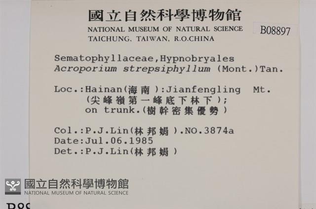 登錄號:B00008897藏品圖，第2張