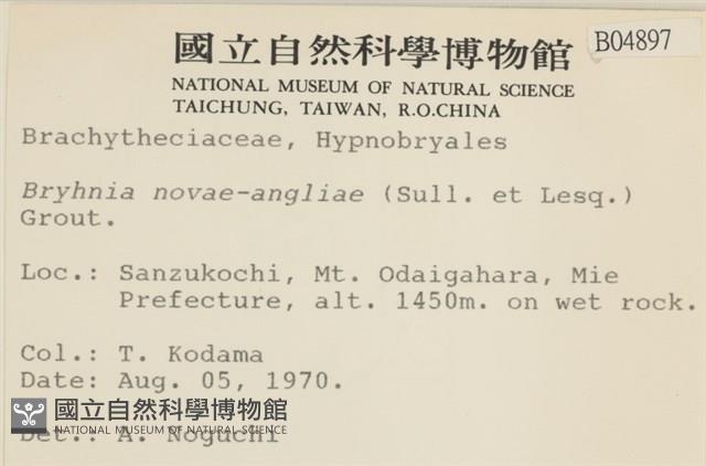 燕尾蘚藏品圖，第2張