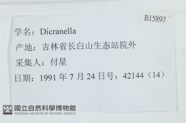登錄號:B00015897藏品圖，第2張