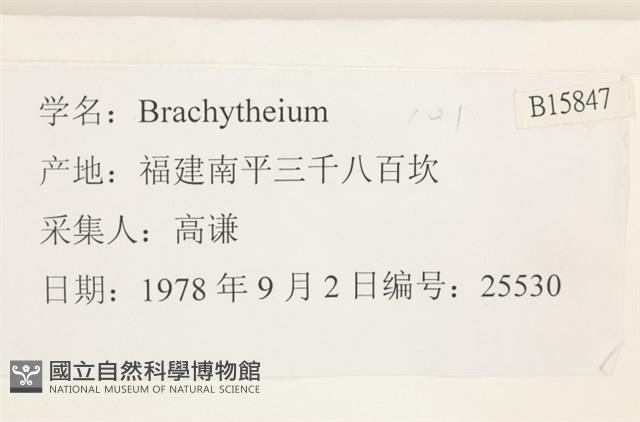 登錄號:B00015847藏品圖，第2張