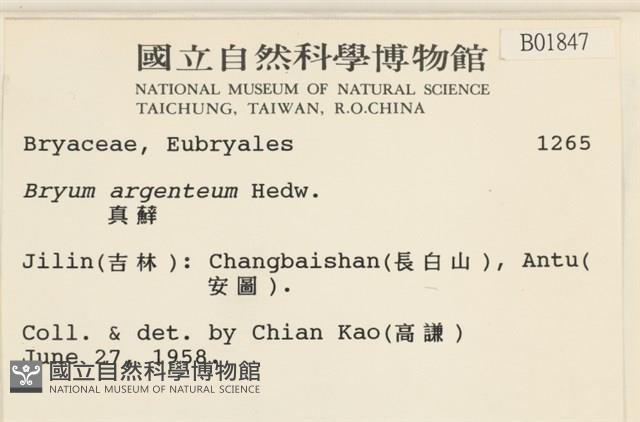 真蘚藏品圖，第2張