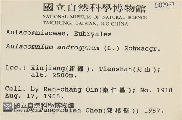 登錄號:B00002967藏品圖，第2張