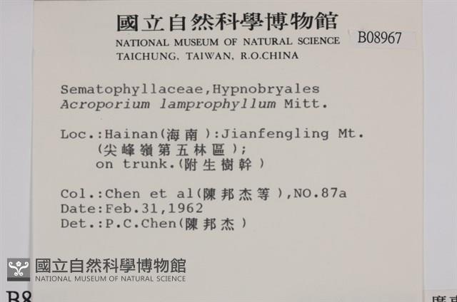 登錄號:B00008967藏品圖，第2張