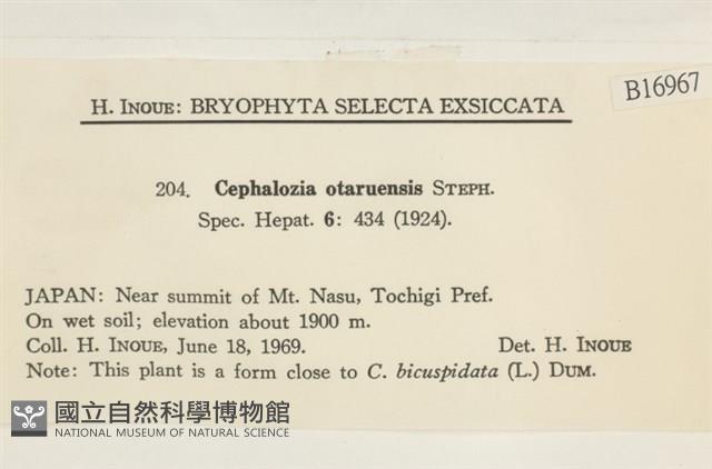 登錄號:B00016967藏品圖，第2張