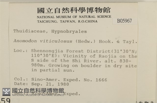 登錄號:B00005967藏品圖，第2張