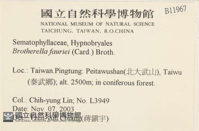 東亞小錦蘚藏品圖，第2張