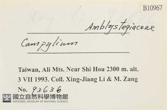 登錄號:B00010967藏品圖，第2張