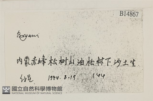 登錄號:B00014867藏品圖，第2張