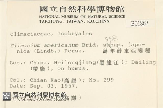 萬年蘚東亞亞種藏品圖，第2張