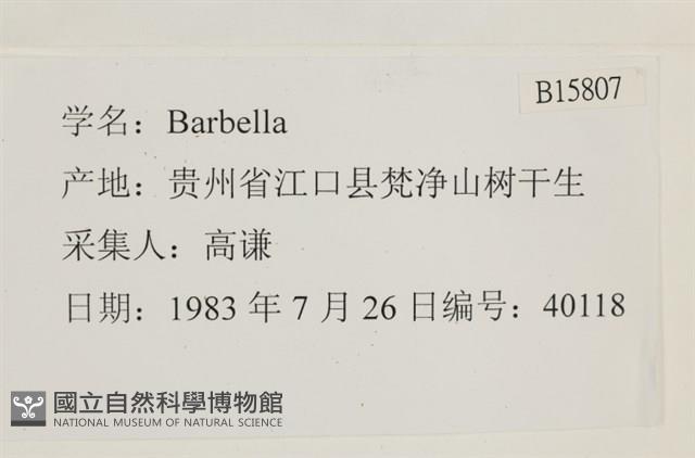登錄號:B00015807藏品圖，第2張