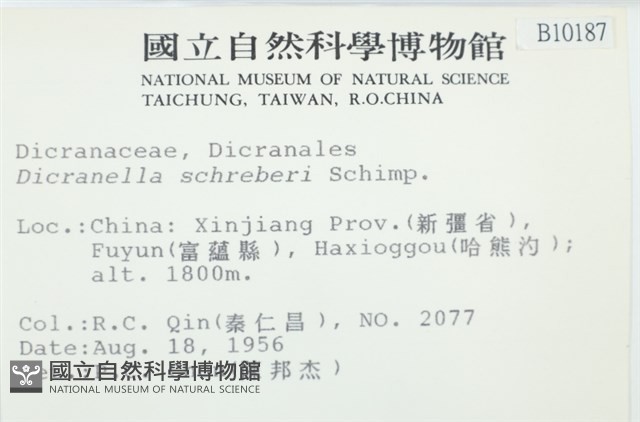 登錄號:B00010187藏品圖，第2張