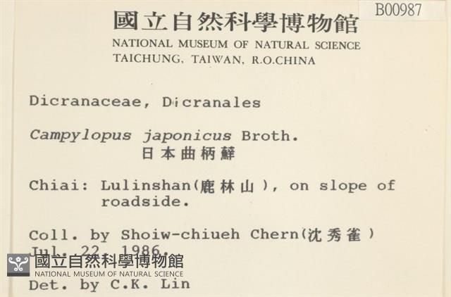 日本曲柄蘚藏品圖，第2張