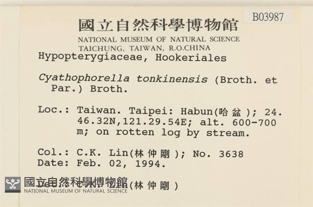 粗齒雉尾蘚藏品圖，第2張