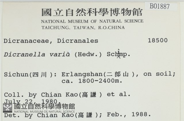 登錄號:B00001887藏品圖，第2張