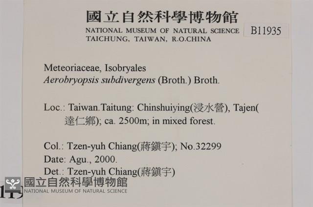 大灰氣蘚藏品圖，第2張