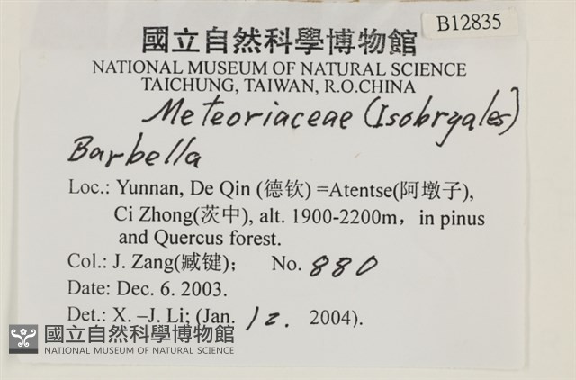 登錄號:B00012835藏品圖，第1張