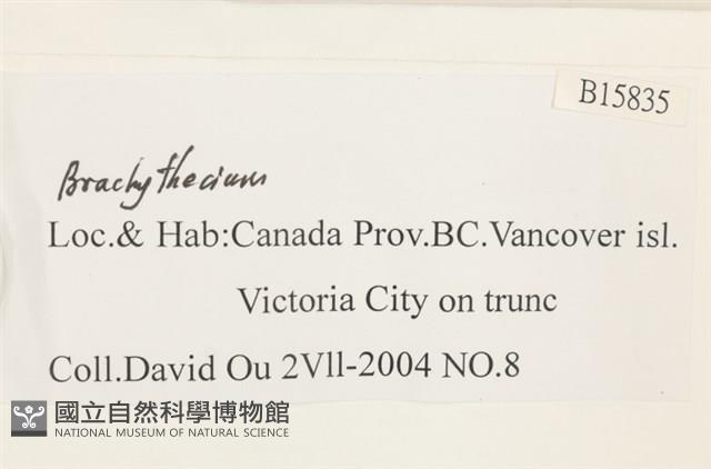 登錄號:B00015835藏品圖，第2張