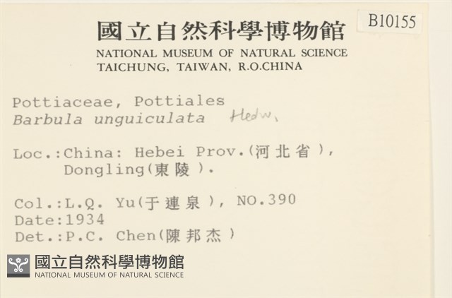 扭口蘚藏品圖，第2張