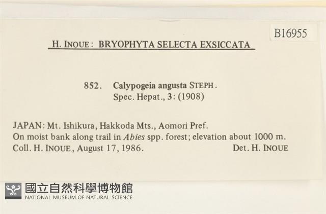 登錄號:B00016955藏品圖，第2張