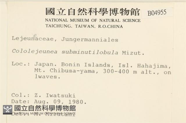 登錄號:B00004955藏品圖，第2張