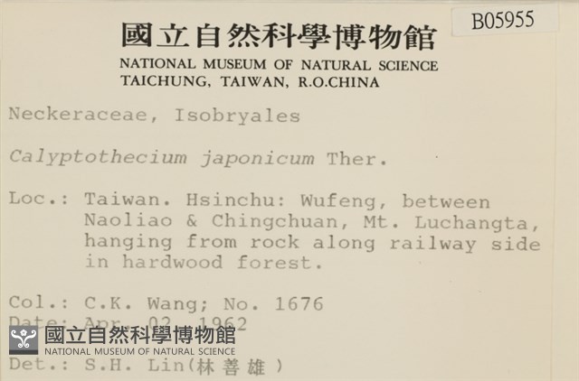 登錄號:B00005955藏品圖，第2張