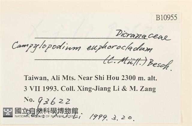 登錄號:B00010955藏品圖，第2張