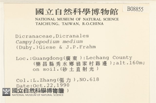 登錄號:B00008855藏品圖，第2張