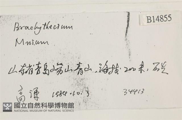 登錄號:B00014855藏品圖，第2張