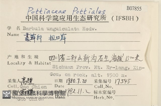 扭口蘚藏品圖，第2張