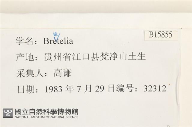 登錄號:B00015855藏品圖，第2張
