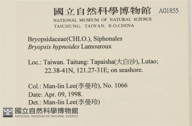 登錄號:A00001855藏品圖，第2張