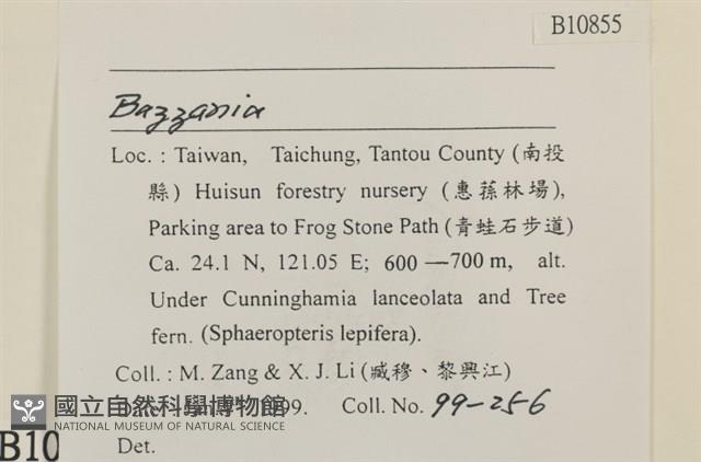 登錄號:B00010855藏品圖，第2張