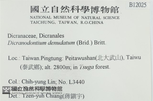 青毛苔藏品圖，第2張