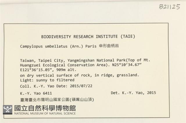 登錄號:B00021125藏品圖，第2張