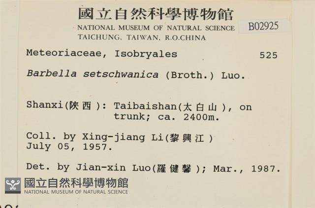 四川懸蘚藏品圖，第2張