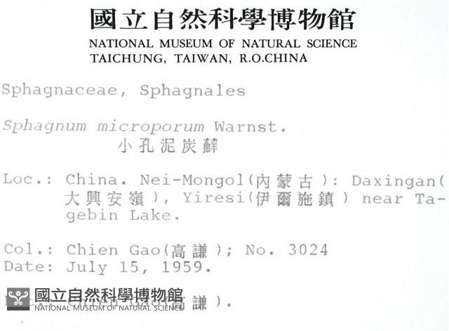 小孔泥炭蘚藏品圖，第2張