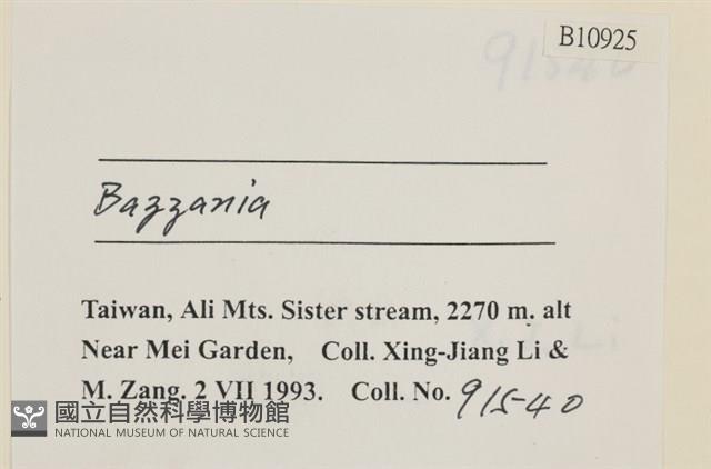 登錄號:B00010925藏品圖，第2張