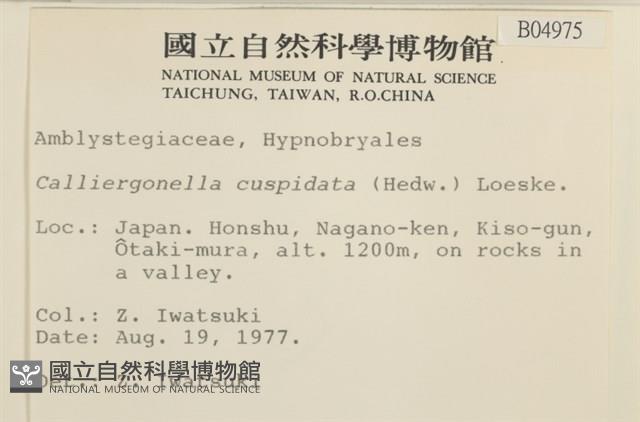 大濕原蘚藏品圖，第2張