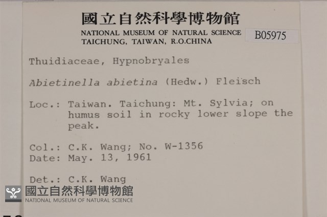 山羽蘚藏品圖，第2張