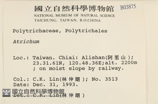 登錄號:B00003875藏品圖，第2張