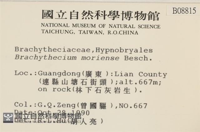 登錄號:B00008815藏品圖，第2張