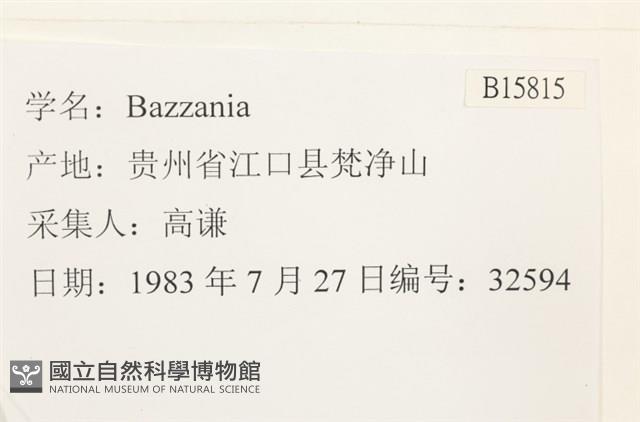 登錄號:B00015815藏品圖，第2張