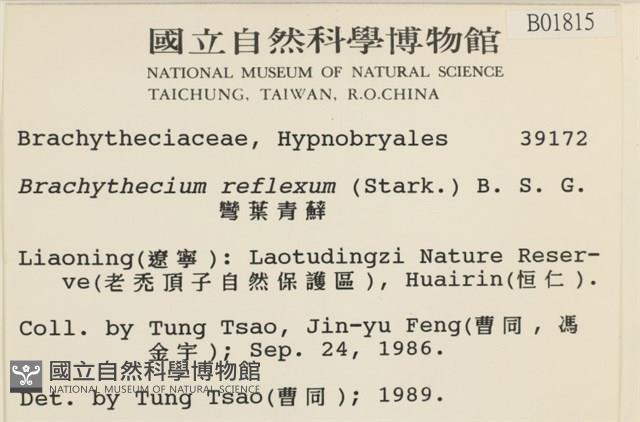 仰葉青蘚藏品圖，第2張