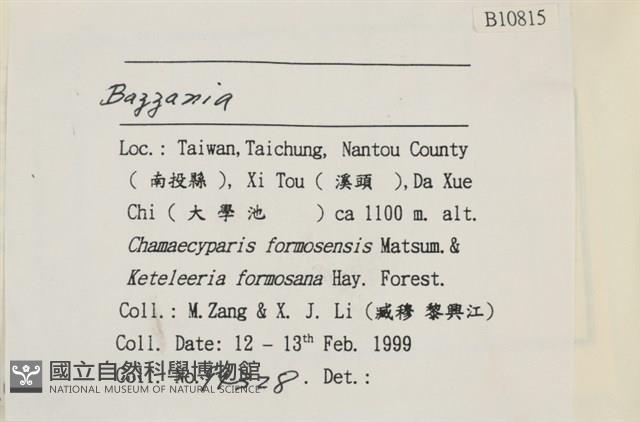 登錄號:B00010815藏品圖，第2張