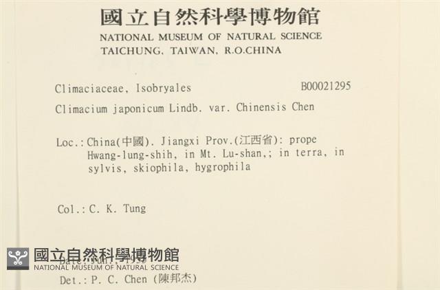 館號:B00021295藏品圖，第2張